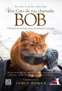 Um-Gato-de-Rua-chamado-Bob