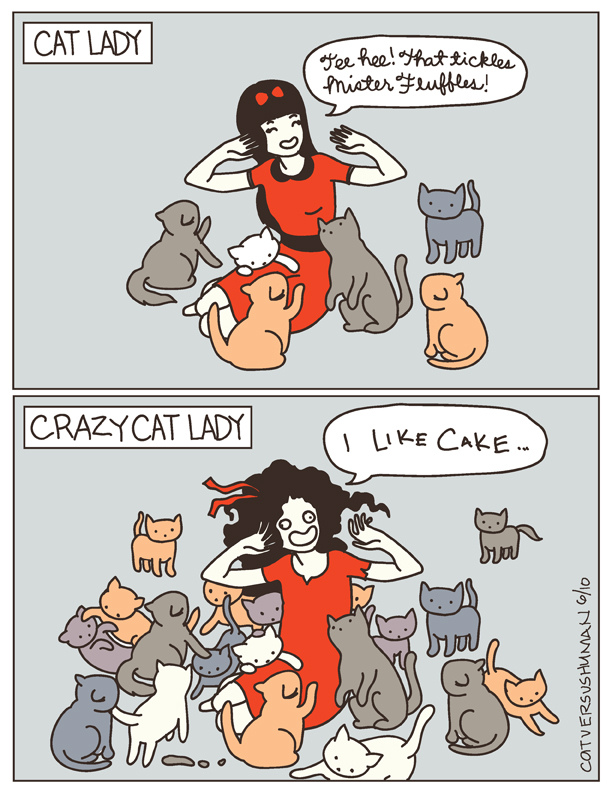 crazy-cat-lady